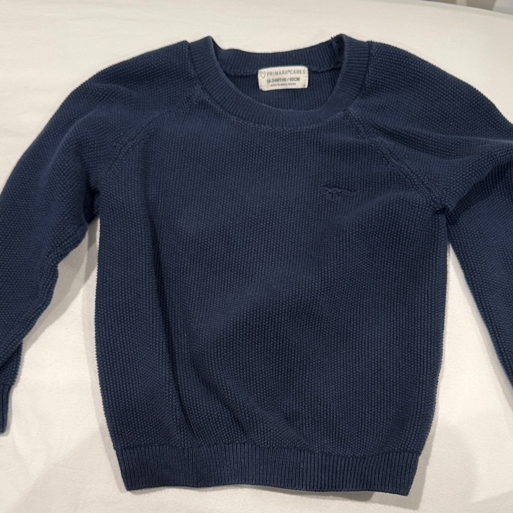 Primark Navy Kids Sweater. Dinosaur emblem